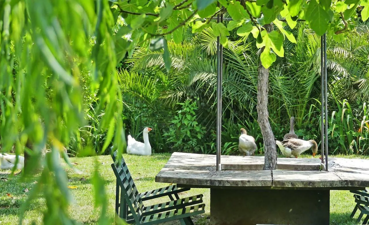 Country house Yeguada Senillosa - Turismo Rural